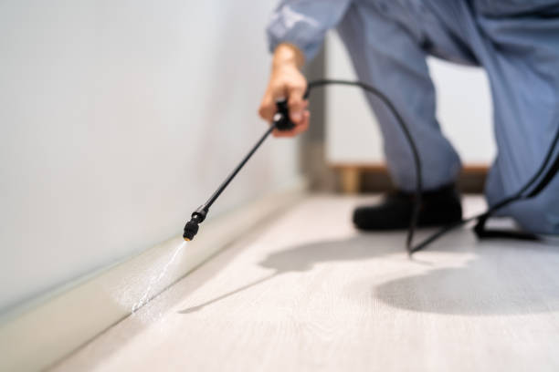 Licensed Termite Control service in Lawrence County County, AL - Nex Pest Control