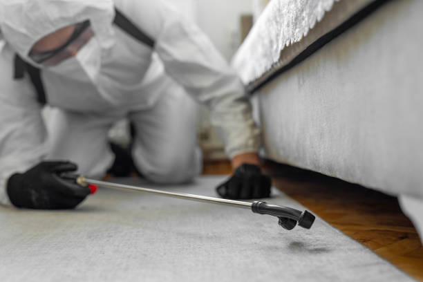 Professional Termite Control technician working in Lawrence County County, AL